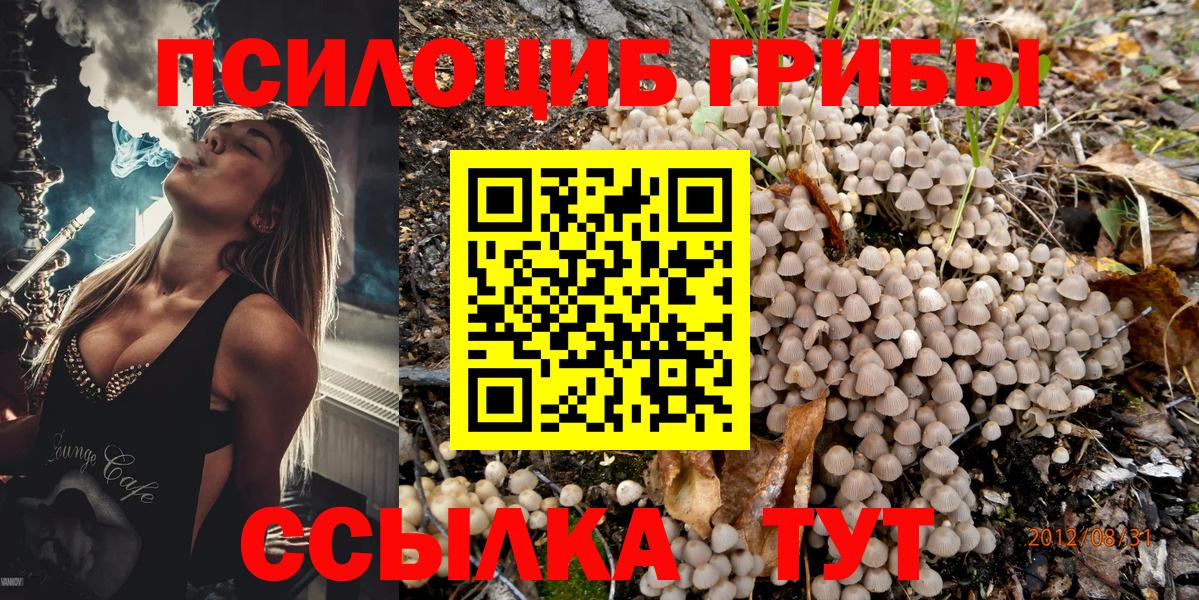 Псилоцибиновые грибы MAGIC MUSHROOMS Тында